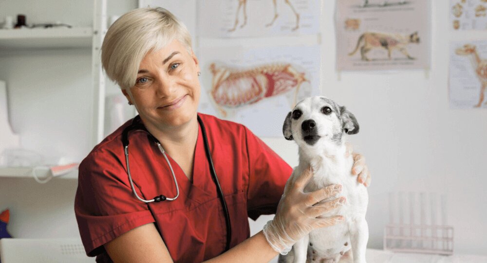 Obrázek ke článku Na kolik vyjdou základní veterinární úkony? Pomůže vám pojištění mazlíčků